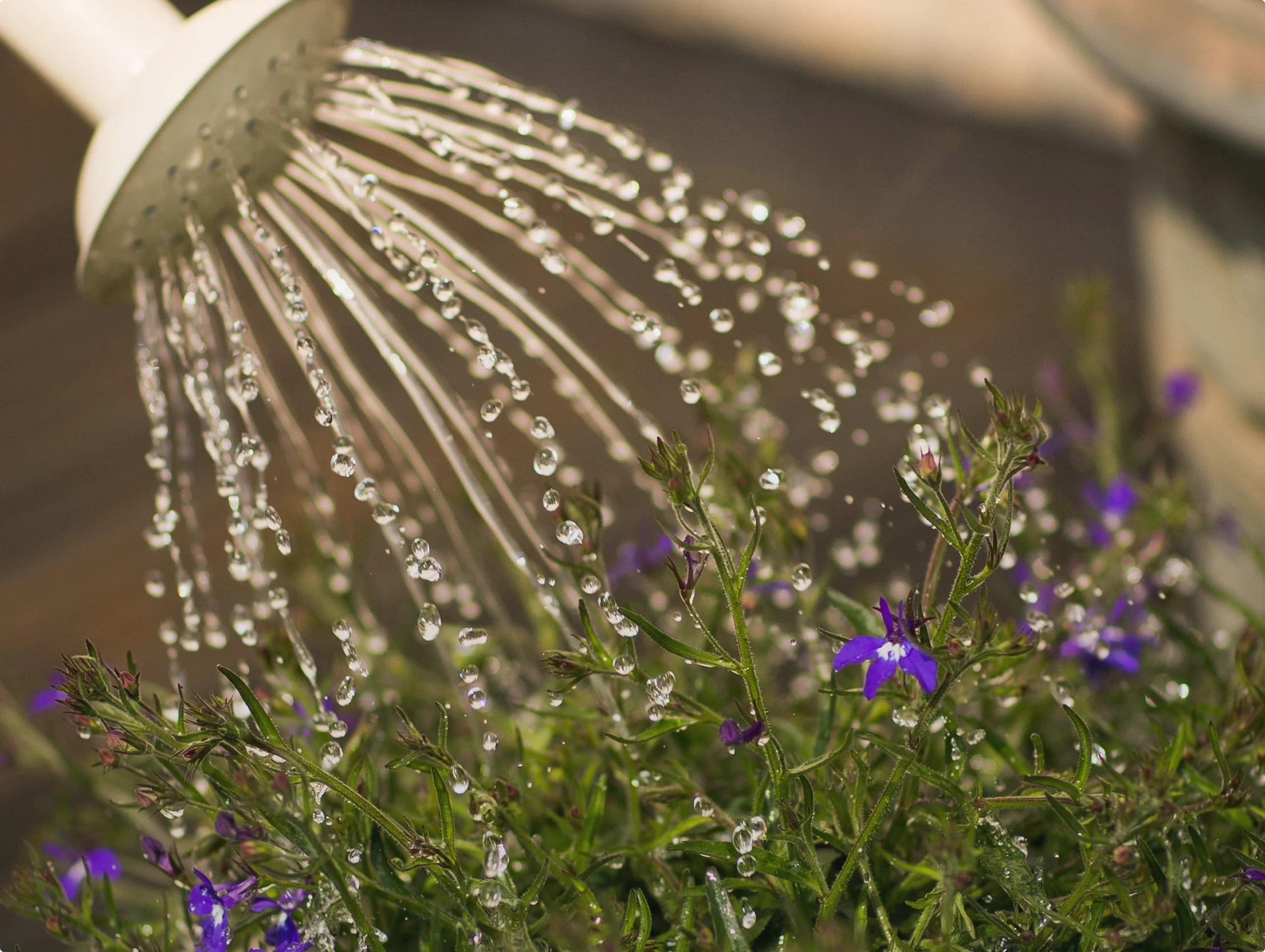 Away from work activity 4